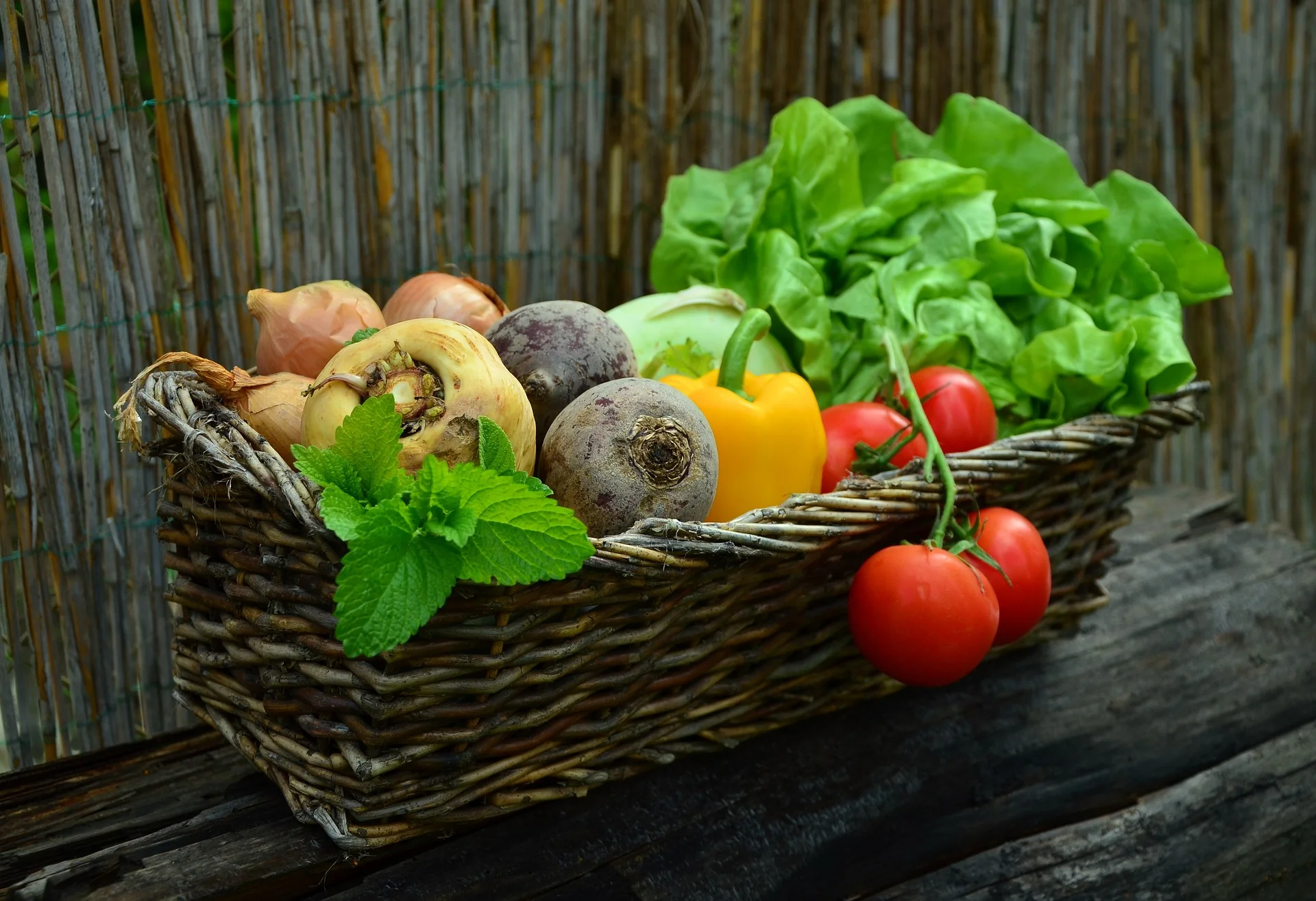 fiche conseil, comment bien s'alimenter
